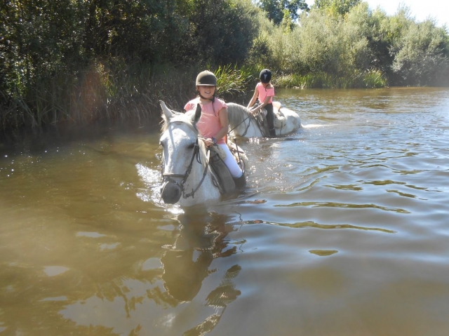 Jinetes en el rio a caballo